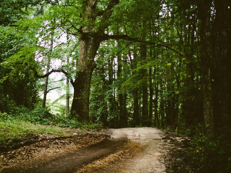 sudoku unique rectangle screenshot 5